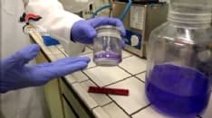 SAN GIUSTO CANAVESE - Resta in carcere la banda arrestata per produzione di cocaina - I NOMI