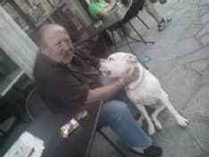 OMICIDIO DI RIVAROLO - «Non ho mai usato una pistola»: ma sul giubbotto i Ris trovano polvere da sparo