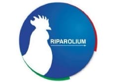 ELEZIONI RIVAROLO - Rischio esclusione per la lista di Zucco