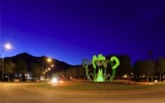 CASTELLAMONTE - La tofeja verde per la Giornata delle Malattie Rare