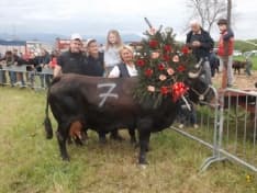 OZEGNA - Successo senza intoppi per le Reines - FOTO