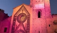 CHIVASSO - La Chiesa collegiata di Santa Maria Assunta colorata di rosa
