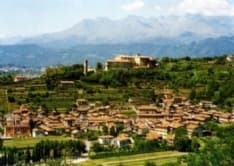 BOLLENGO - Dopo 42 anni arriva la meritata pensione per Paola Grange