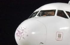 CASELLE - Aereo per la Sardegna bersagliato dalla grandine subito dopo il decollo: il pilota costretto ad atterrare a Verona