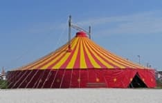 LEINI - Piazzano manifesti con tigri e leoni: per il circo una super multa di 1300 euro