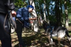 SAN PONSO - Apre un nuovo centro per l'addestramento dei cani