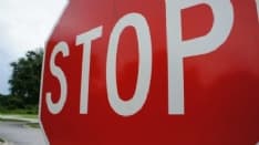 RIVAROLO CANAVESE - Stop richieste d'aiuto: troppi gatti e poca collaborazione, Le Vibrisse alzano bandiera bianca