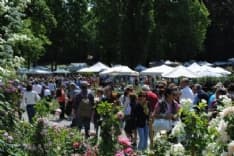 CARAVINO - Al castello di Masino torna tre giorni per il giardino