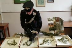 RUEGLIO - Laboratorio per la droga in casa: 41enne denunciato per produzione di stupefacenti - FOTO e VIDEO