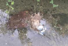 RIVAROLO CANAVESE - La roggia tra Pasquaro e Argentera trasformata in discarica a cielo aperto - FOTO