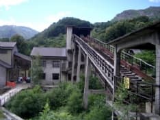 ELEZIONI - Un quasi plebiscito per Renza Colombatto