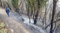 DISASTRO A BELMONTE - L'incendio ha devastato la riserva naturale del Sacro Monte - FOTO e VIDEO