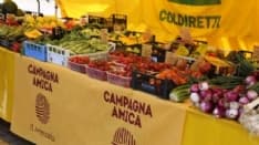 CUORGNE' - La spesa sospesa del contadino per chi ha più bisogno: Coldiretti in aiuto della San Vincenzo