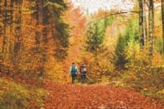CANAVESE AL CENTRO - Foliage in Canavese: una possibilità 