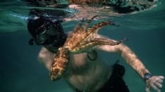 LA STORIA - Ho scelto un polipo per amico