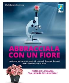 CORONAVIRUS - Festa della mamma: l'Azalea della Ricerca AIRC si compra su Amazon