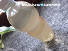 CASTELLAMONTE - ESCE ACQUA GIALLA DAI RUBINETTI