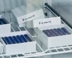 COVID - Primo giorno di vaccini, Cirio: «Una giornata storica perché abbiamo un'arma in più»