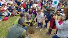 BELMONTE - «Fridays for Future»: i bimbi delle scuole piantano nuovi alberi nel bosco distrutto dagli incendi dolosi - FOTO e VIDEO