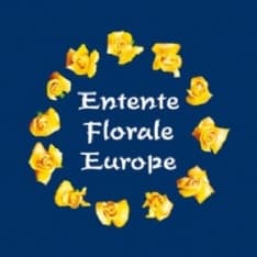 INGRIA - Il paese guarda all'Europa dopo il successo nazionale