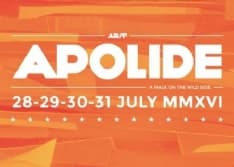 VIALFRE' - Weekend di musica e tanti eventi: è l'Apolide Festival