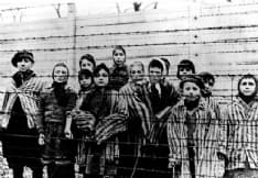 Meditate che questo è stato...