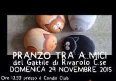 RIVAROLO - Un pranzo benefico per il gattile