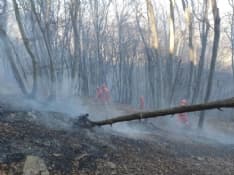 PRATIGLIONE - Un altro incendio boschivo è divampato nel tardo pomeriggio: è caccia al piromane