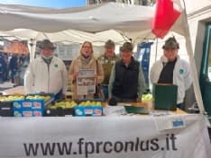 CUORGNE' - Mele della salute: gli Alpini raccolgono fondi per Candiolo