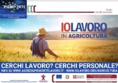 LAVORO - 8000 aziende agricole cercano personale. L'assessore regionale: «Priorità agli italiani»