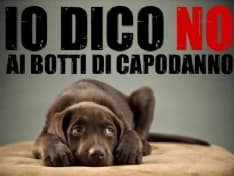 RIVAROLO CANAVESE - Botti di capodanno: scatta il divieto fino al 2 gennaio