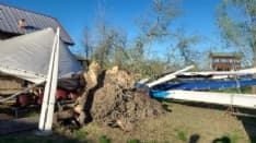 CANDIA CANAVESE - Albero crolla sulla sede dei canottieri: distrutte tredici imbarcazioni - FOTO