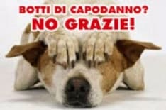 RIVAROLO - Ordinanza del sindaco contro i botti di Capodanno