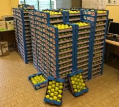 AGLIE' - Ancora un successo delle «Mele per la Salute»