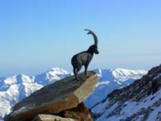 GRAN PARADISO - Il Parco Nazionale alla Fiera Internazionale del Turismo di Berlino