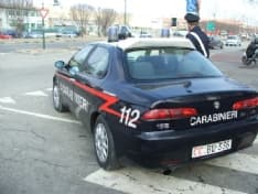 LEINI - Carabinieri salvano due cani abbandonati sulla 460