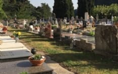 IVREA - Ladri tra le tombe del cimitero fanno sparire piante e fiori: «Aggiungono solo dolore al dolore»