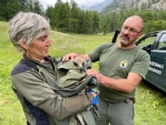 CERESOLE REALE - I guardaparco del Gran Paradiso salvano un'aquila reale ferita dopo la segnalazione di una turista - FOTO