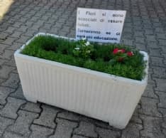 CUORGNE' - Rubano le piantine della chiesa di San Luigi: «I fiori si sono scocciati di essere rubati» - FOTO