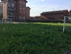 MAPPANO - «Nessuno taglia l'erba: verde pubblico dimenticato» - FOTO