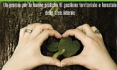 CASTELLAMONTE - Comunità Forestali, un premio in Canavese