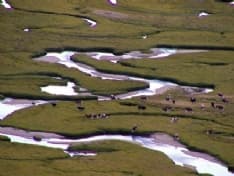 NOASCA - Dalla Toscana per studiare i pascoli del Parco Gran Paradiso