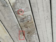 COLLERETTO GIACOSA - Si staccano calcinacci dal ponte della Pedemontana - FOTO