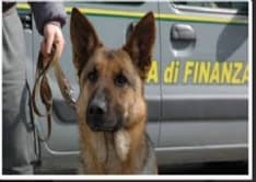 CASELLE - 200 mila euro recuperati grazie al fiuto del cane Zeby