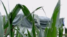 CANAVESE - Nubifragi della scorsa settimana, la Coldiretti: «Danni per migliaia di euro» - FOTO