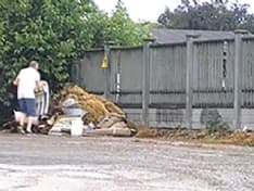 VOLPIANO - Abbandonano rifiuti: una decina di «maiali» beccati grazie alle telecamere