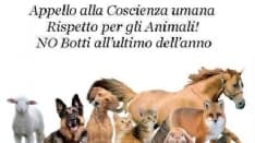 CHIAVERANO - Niente ordinanza contro i botti di Capodanno