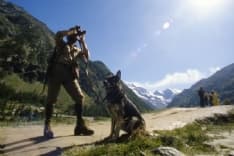 PARCO GRAN PARADISO - I cani dei guardaparco protagonisti su Rai Uno