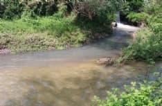 BUSANO - Torrente inquinato cambia colore - FOTO e VIDEO