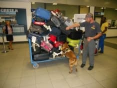 CASELLE - 2000 pastiglie pericolose in valigia: cinese nei guai